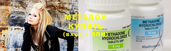 прущие грибы Приозерск
