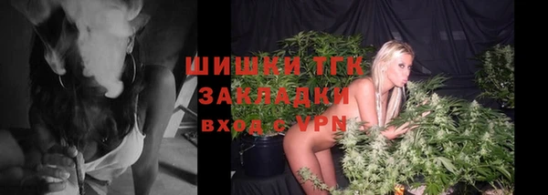 прущие грибы Приозерск