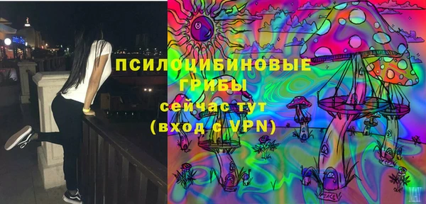 прущие грибы Приозерск