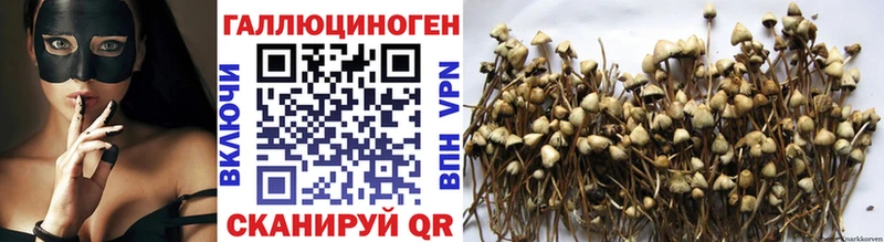 Псилоцибиновые грибы мухоморы  blacksprut онион  Армянск 